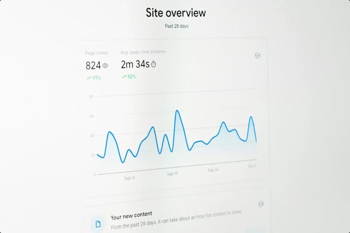 Website analytics overview from the original organic search case study